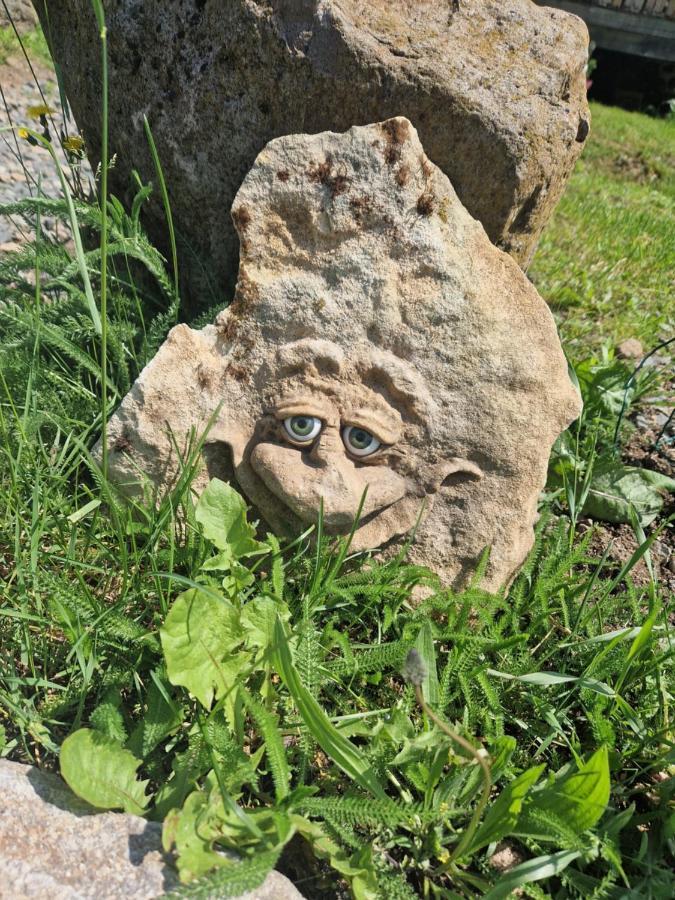 Les Cabanes Feeriques Du Cheix Saint-Diery Εξωτερικό φωτογραφία